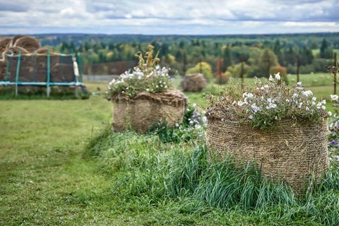 Best Straw Bale Gardening Tips Step By Step Straw Bale Gardening Instructions