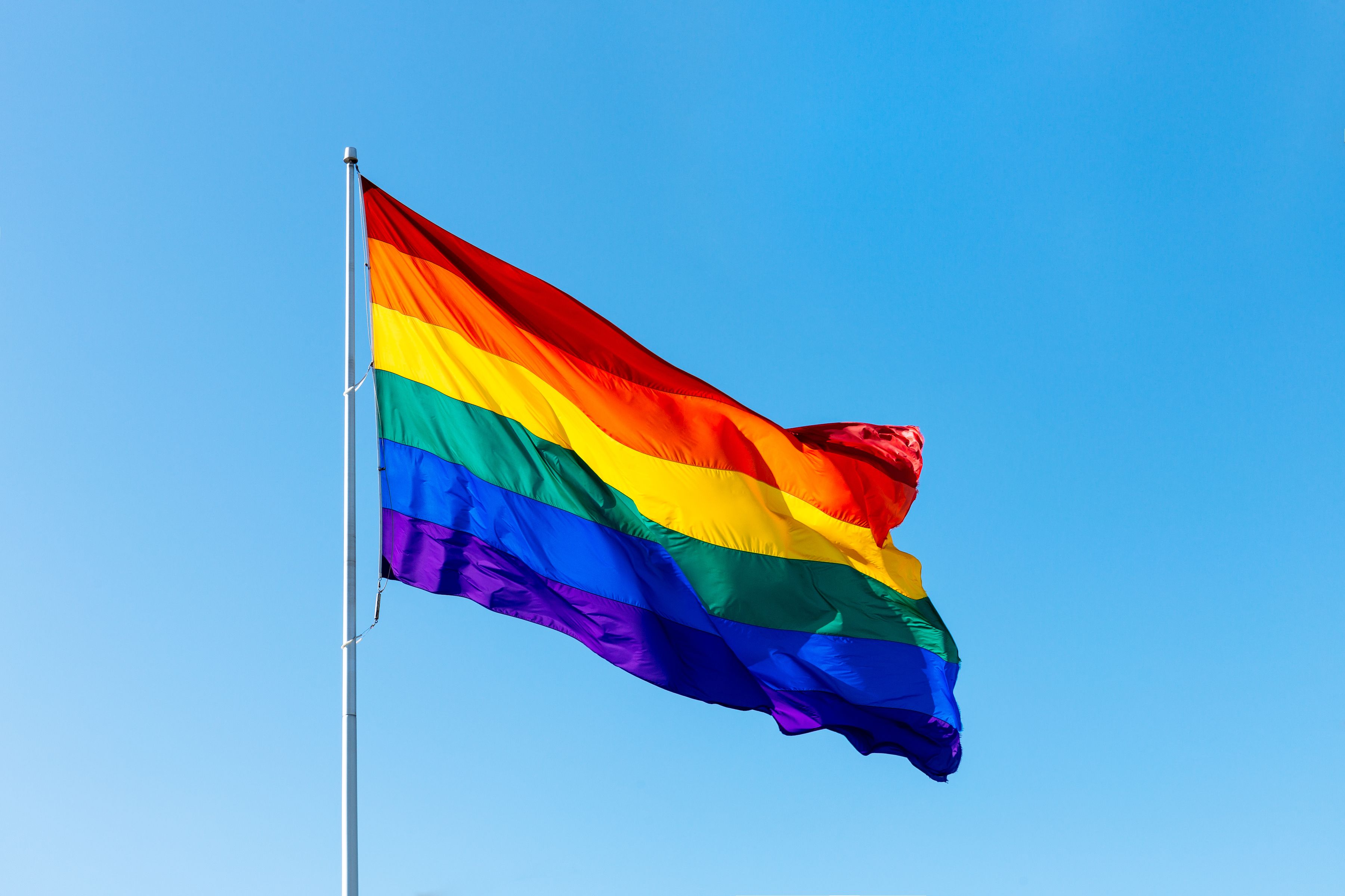 フロリダ州で成立した Don T Say Gay ゲイと言ってはいけない 法案 をめぐる議論 ハーパーズ バザー Harper S Bazaar 公式