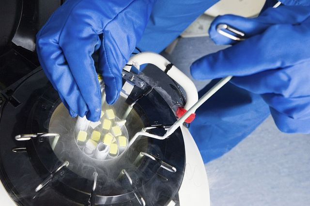 doctors hands removing embryo samples from cryogenic storage, fertilized embryos are stored in liquid nitrogen filled tanks to keep them as new if patients require them at a later date photo by universal images group via getty images