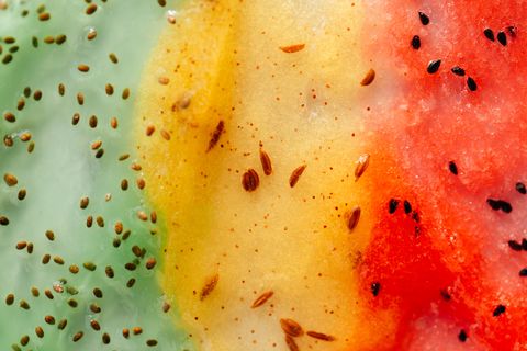 multicolored texture of scrubs with exfoliating particles herbal green with chia seeds, illuminating yellow with cumin, red with watermelon seeds selfcare is a trendy procedure of the year cosmetics banner