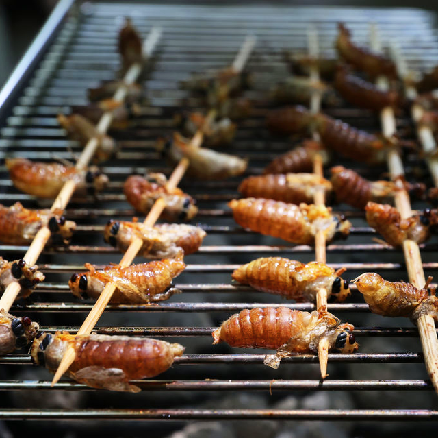 cicadas being fried on grill