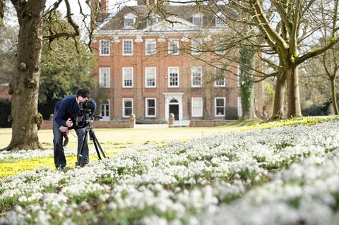 where is bake off filmed