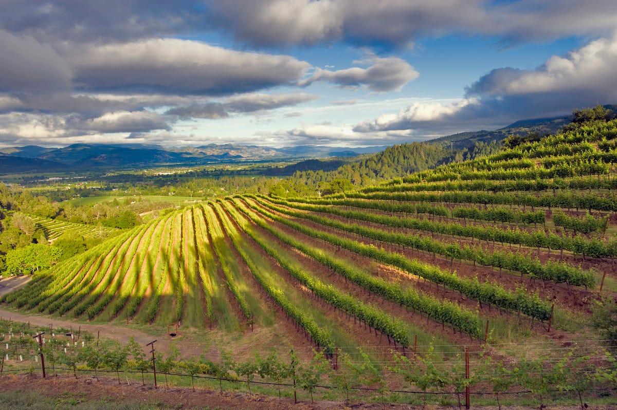 10 Napa Valley Winery Tours Perfect for a Girlfriends' Getaway