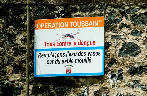 Approximately 22,000 people die each year from dengue