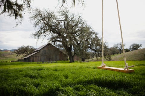 Diy Swing How To Hang A Swing From A Tree