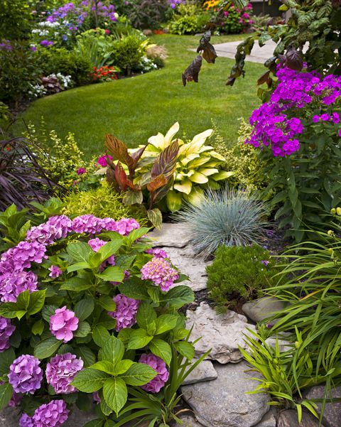 lush landscaped garden with flowerbed and colorful plants