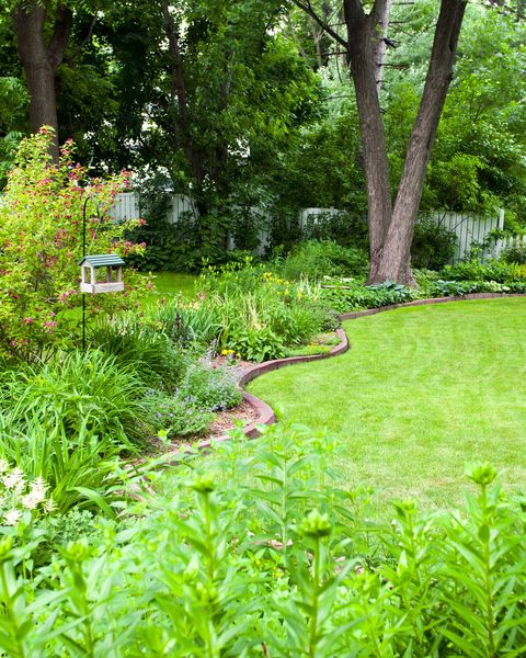 a lush green backyard lawn and flower beds with trees, landscaping and various garden varieties