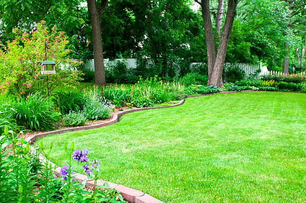 garden with lawn