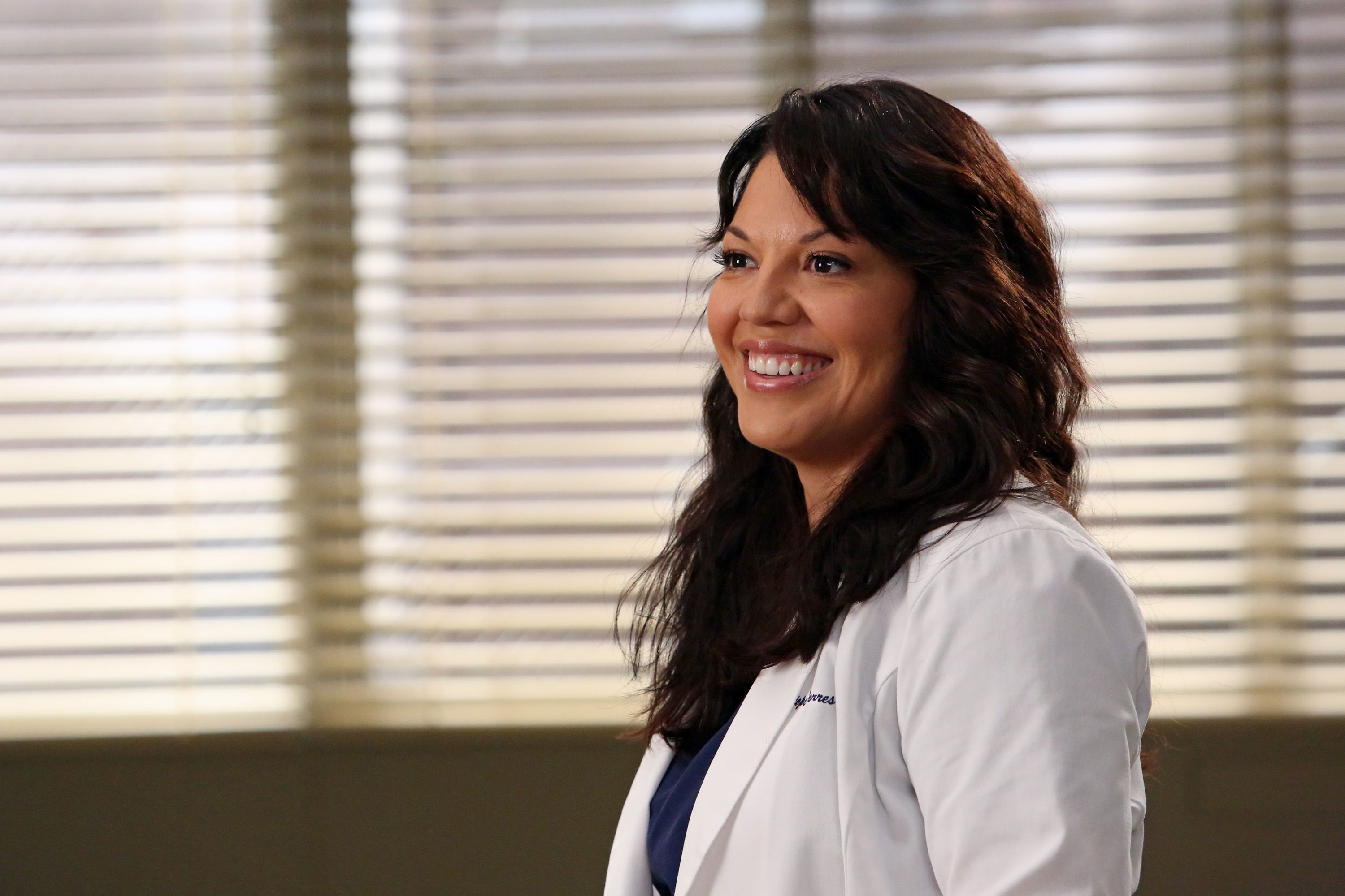 Porn Callie Torres Greys - Sara Ramirez May Return to Grey's Anatomy As the Beloved Dr ...