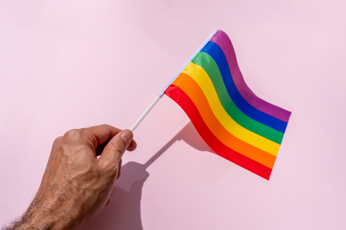 Lgbtq Flags The History And Meaning Behind 21 Pride Flags 8314