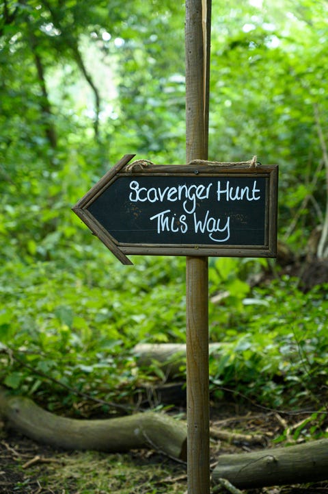 Scavenger hunt this way signpost in lush forest woodland scavenger hunt this way signpost in lush forest woodland