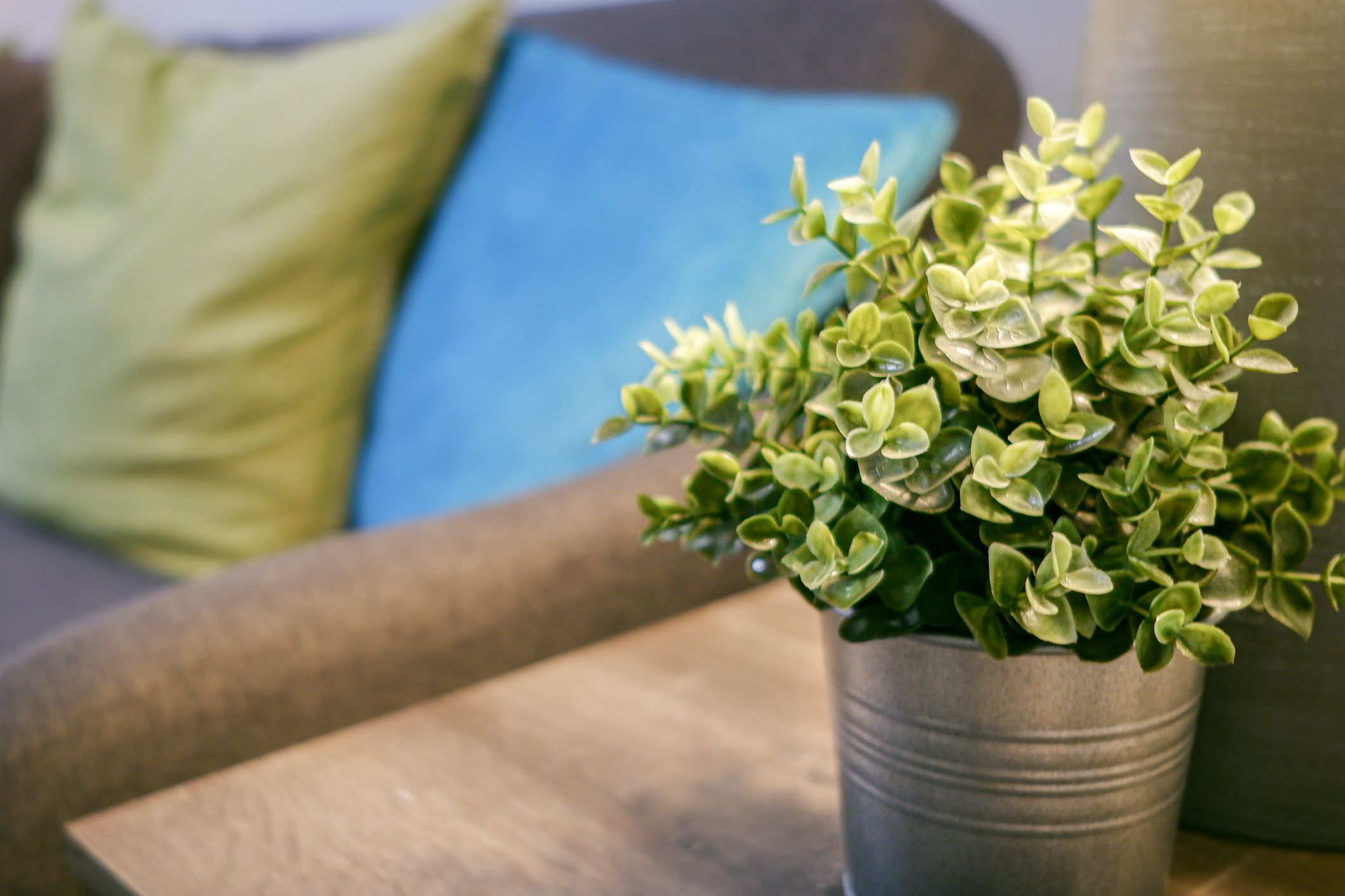 10 Ideas para decorar tu casa con plantas artificiales