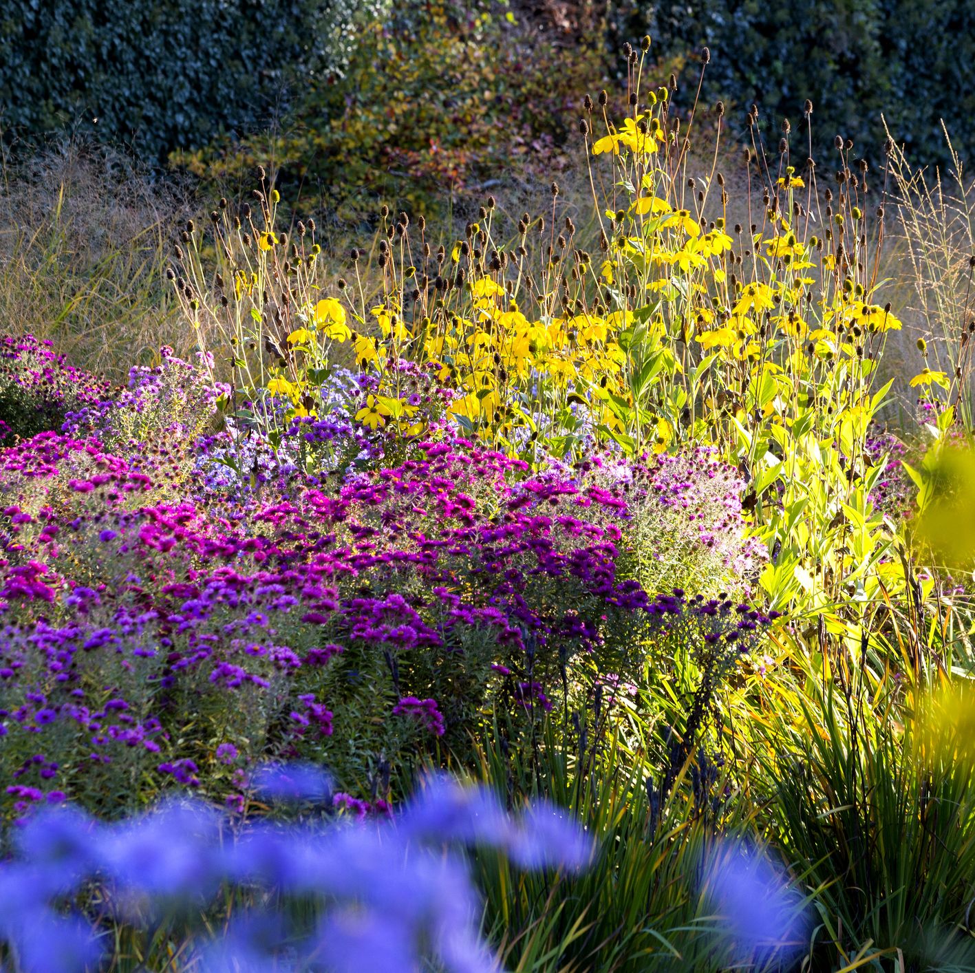 18 Fall Flowers to Grow for a Gorgeous Garden Beyond Labor Day
