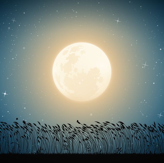 blue mysterious background with full moon in starry sky horizontal vector illustration for use in polygraphy, textile, design, interior decor