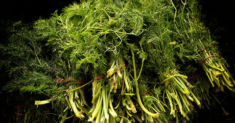 dill per il diabete