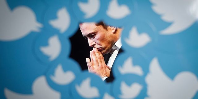 an image of new twitter owner elon musk is seen surrounded by twitter logos in this photo illustration in warsaw, poland on 08 november, 2022 photo by strnurphoto via getty images