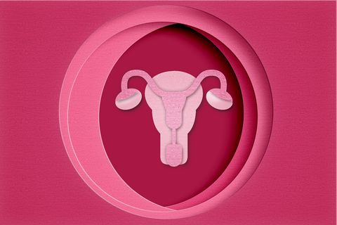 uterus un paper workpink backgroundart concept of female reproductive health