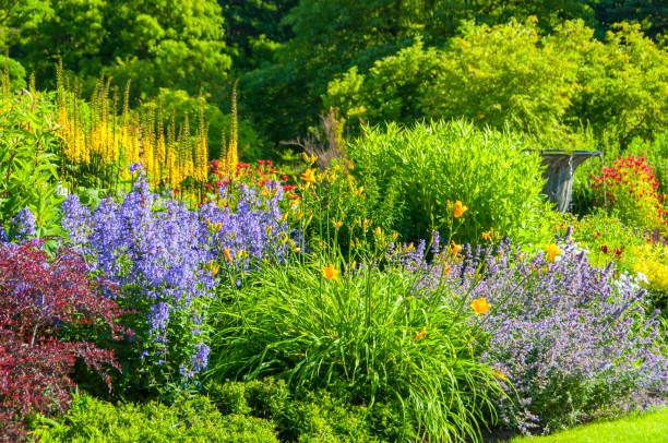 Ideas For Easy Perennial Flowering Plants, Year Round Perennial Garden Plan
