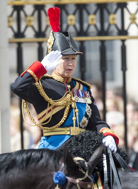 Princess Anne Looked Like a Total Boss on Horseback at Trooping the ...