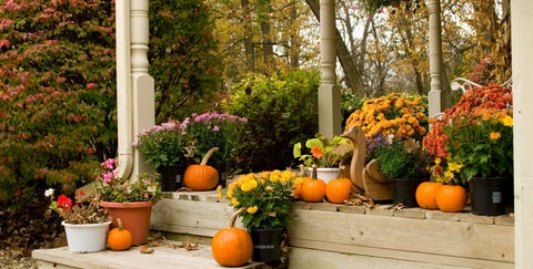 Autumn Flowered Porch