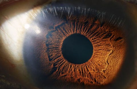 Close-up of an eye