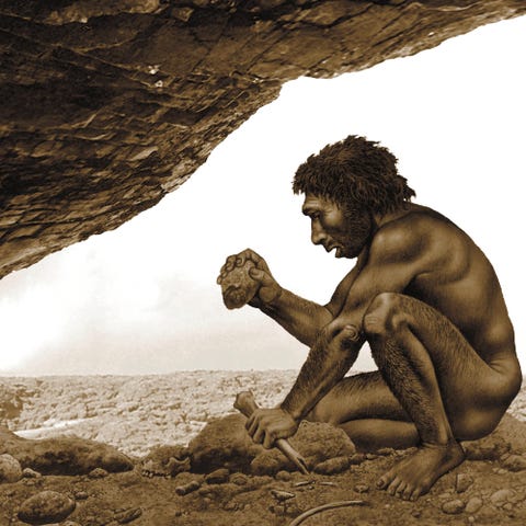 Homo antecessor, artwork