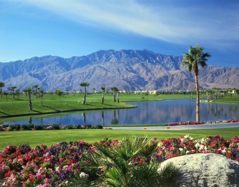the doral desert princess resort 27 hole championship golf course was designed by david rainville