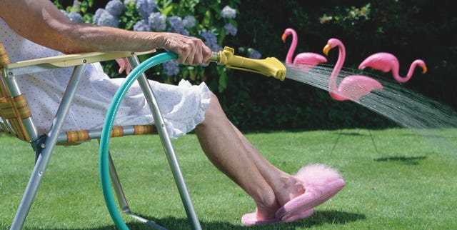 節水しながら正しく水やり 芝生の上手な育て方 Elle Decor エル デコ 節水しながら正しく水やり 芝生の上手な育て方 Elle Decor エル デコ