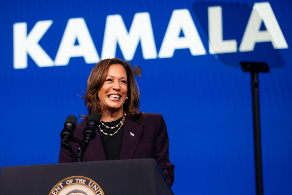 Virtual Voting Kicks Off to Make Kamala Harris the Official Presidential Nominee