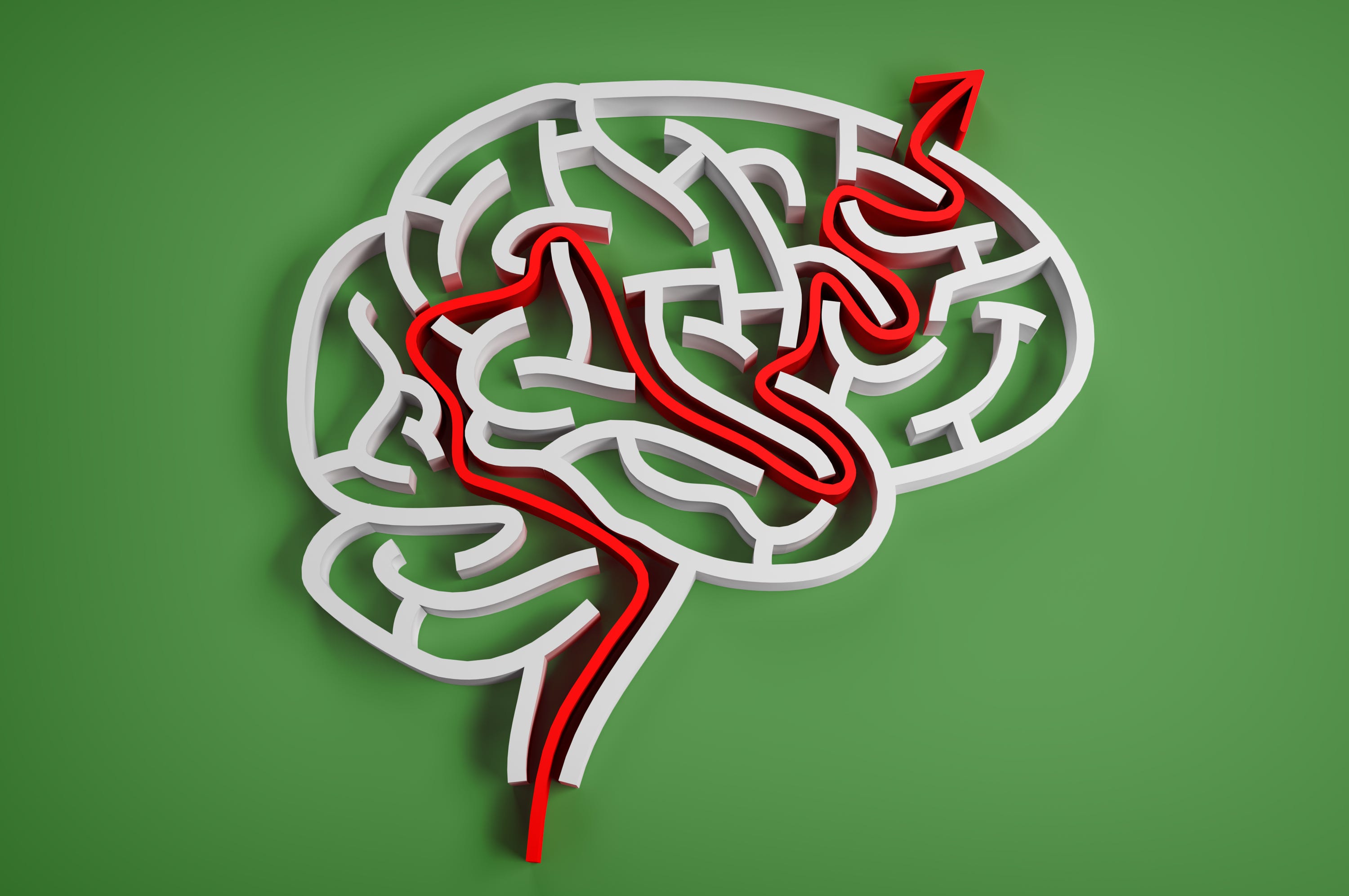How to Fix What the Modern World Does to Your Brain