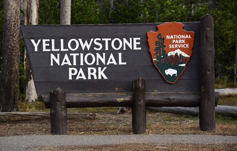 Nature reserve, State park, Tree, National park, Signage, Sign, Font, Landscape, Park, Wood, 