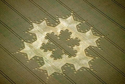 Leaf, Pattern, Floor, Tree, Wood, Design, Flooring, Maple leaf, Tile, Plant, 