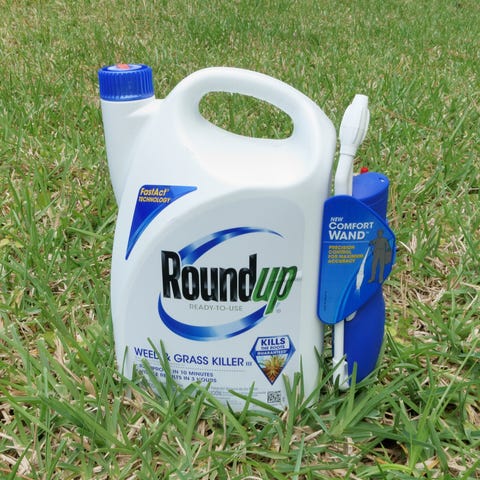 Moms Exposure To Monsanto Weed Killer >> Jury Rules Roundup S Active Ingredient Caused Couple S Cancer Moms Exposure To Monsanto Weed Killer >> Jury Rules Roundup S Active Ingredient Caused Couple S Cancer