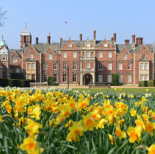 Flower, Château, Yellow, Natural landscape, Spring, Plant, Stately home, Estate, Castle, Building, 