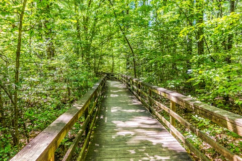 most beautiful national parks us