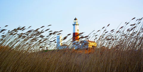 Grass family, Lighthouse, Grass, Grassland, Sky, Phragmites, Prairie, Plant, Tower, Horizon, Grass family, Lighthouse, Grass, Grassland, Sky, Phragmites, Prairie, Plant, Tower, Horizon,