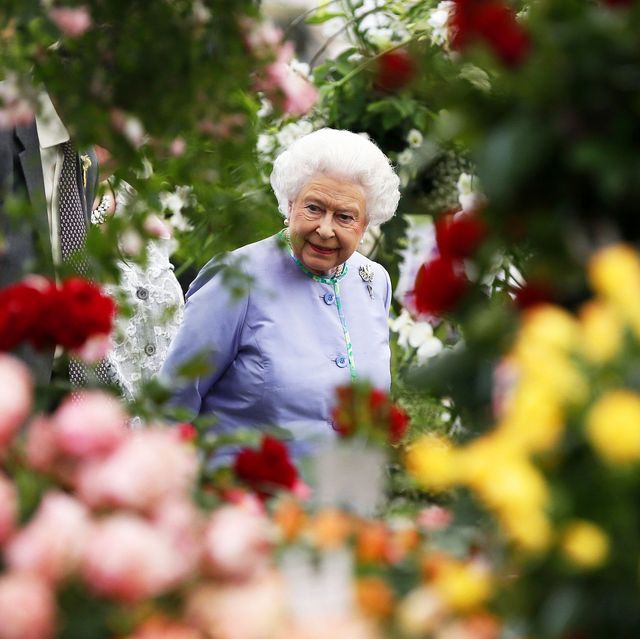 london, united kingdom   may 19 queen elizabeth ii looks at a dispaly during a visit to the chelsea flower show on press day on may 19, 2014 in london, england photo by stefan wermuth   wpa pool getty images