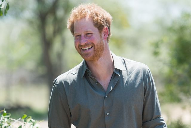 kempiana, south africa   december 02  prince harry smiles he visits the southern african wildlife college, a flagship centre close to kruger national park, during an official visit to africa on december 2, 2015 in kempiana, south africa  photo by samir husseinwireimage