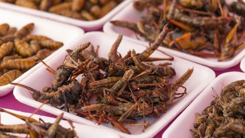 insecten te koop op een markt