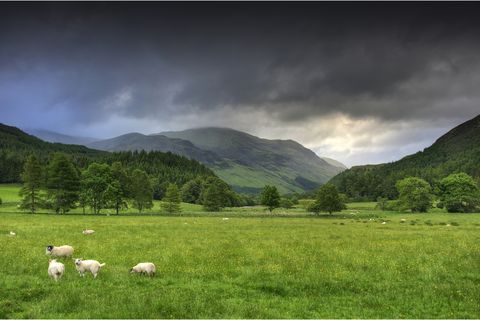 Highland, Pasture, Natural landscape, Grassland, Nature, Green, Sky, Mountainous landforms, Mountain, Natural environment, 