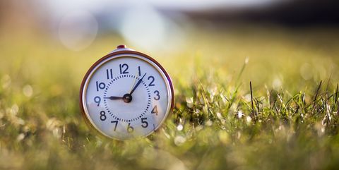 Clock in grass