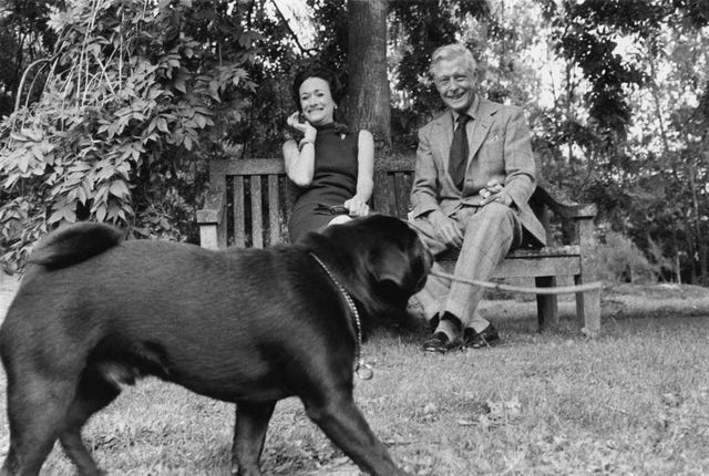  der Herzog alias König Edward viii und die Herzogin alias Wallis simpson von Windsor sitzen auf einer Bank unter einem Baum und beobachten, wie einer ihrer Mopshunde im Moulin de la tuilerie, ihrem Zuhause außerhalb von Paris, einen Stock trägt Foto von patrick lichfieldcondé nast über getty images