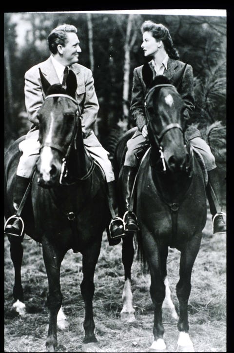 Cavalo, Freio, Mamífero, Vertebrado, Rédea, Fotografia, Cabresto, Juba, Suprimentos para cavalos, Arreios para cavalos, Cavalo, Freio, Mamífero, Vertebrado, Rédea, Fotografia, Cabresto, Juba, Suprimentos para cavalos, Arreios para cavalos,