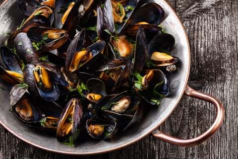 clams clams