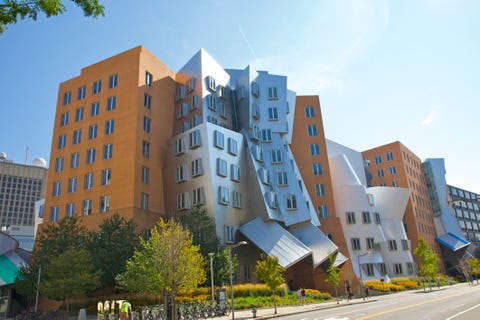 colleges undergraduate