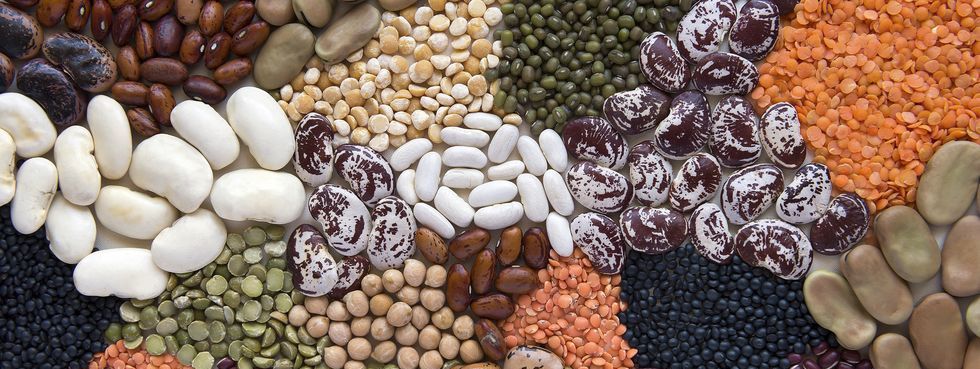 やっぱり体にいい 8種類の豆が持つ驚くべき健康メリット