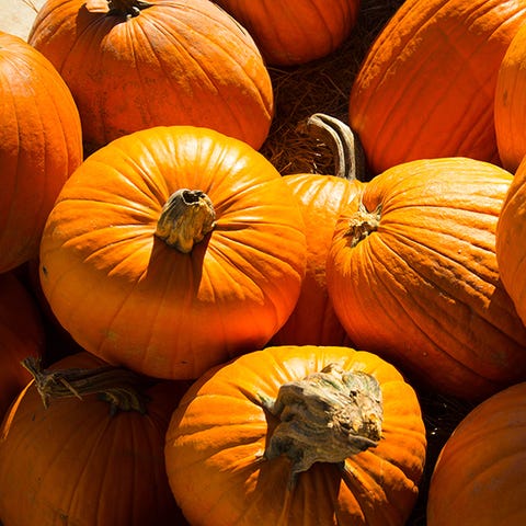 pumpkin for weight loss pumpkin for weight loss