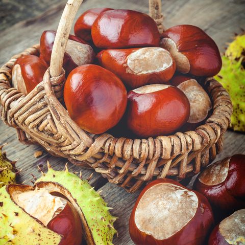 chestnuts in basket