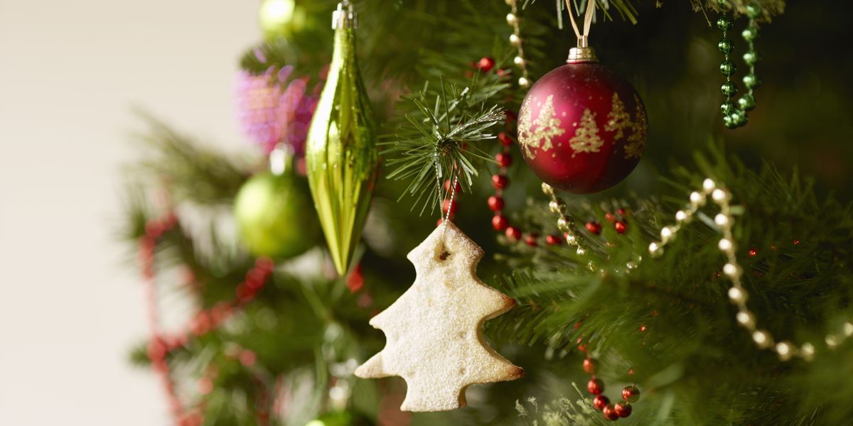 how-to-make-christmas-trees-last-longer-keep-a-christmas-tree-fresh
