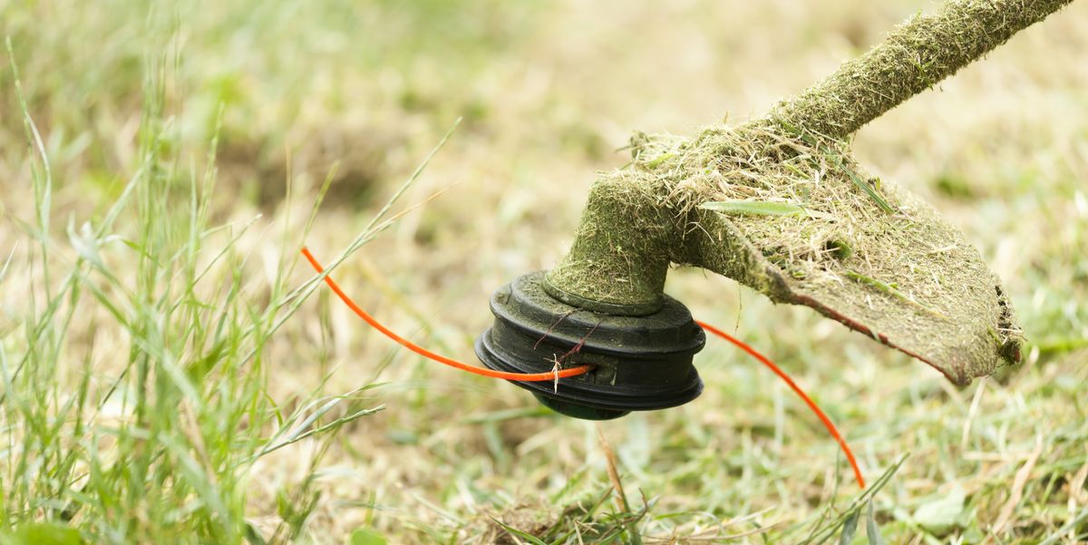 6 Best Weed Wackers Of 2019 Best New String Trimmer